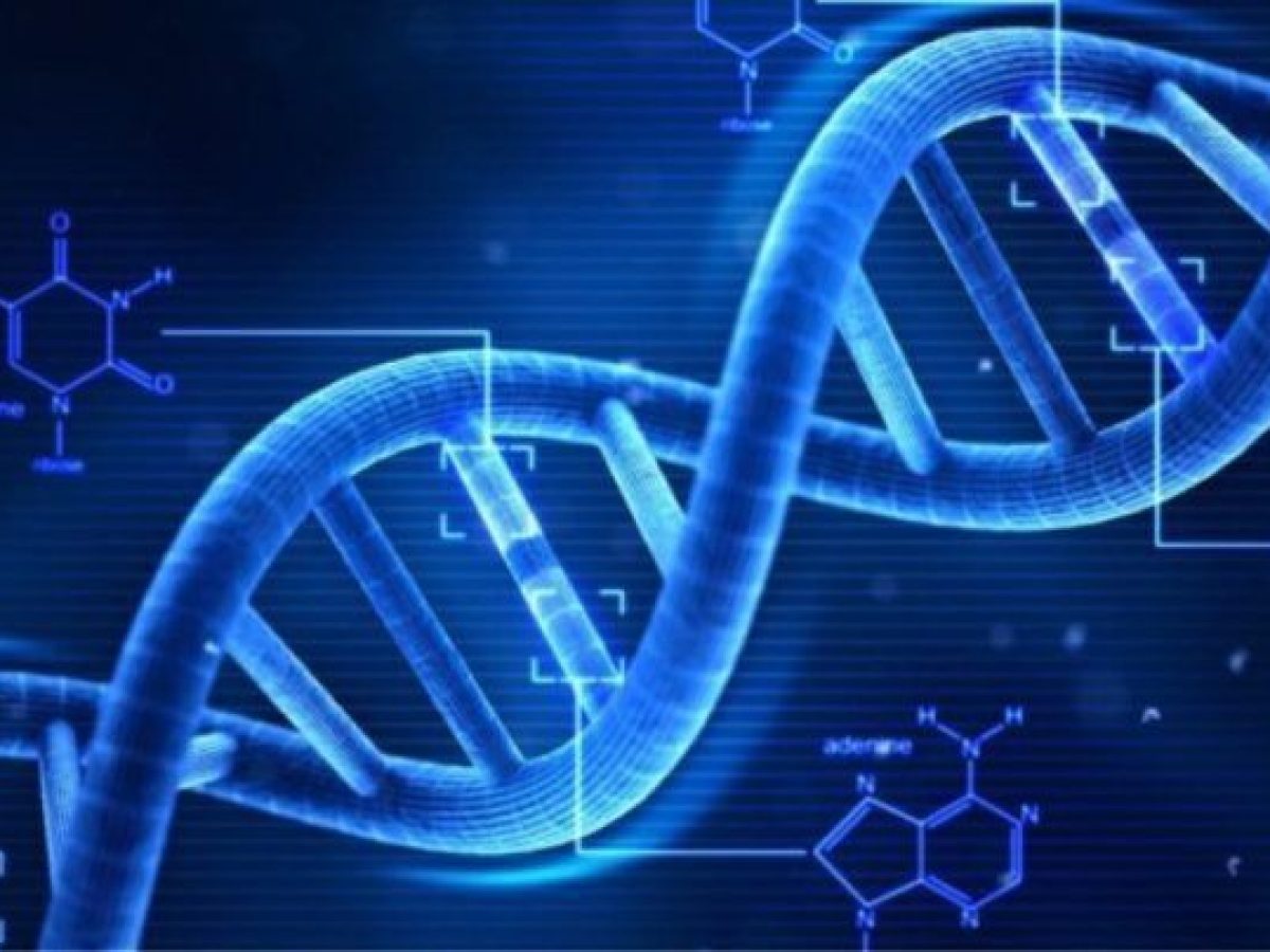 Η σχέση του DNA των σημερινών Ελλήνων με τους Αρχαίους Ελληνες