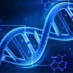 Η σχέση του DNA των σημερινών Ελλήνων με τους Αρχαίους Ελληνες