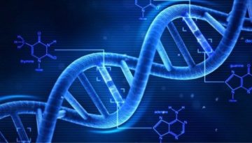 Η σχέση του DNA των σημερινών Ελλήνων με τους Αρχαίους Ελληνες