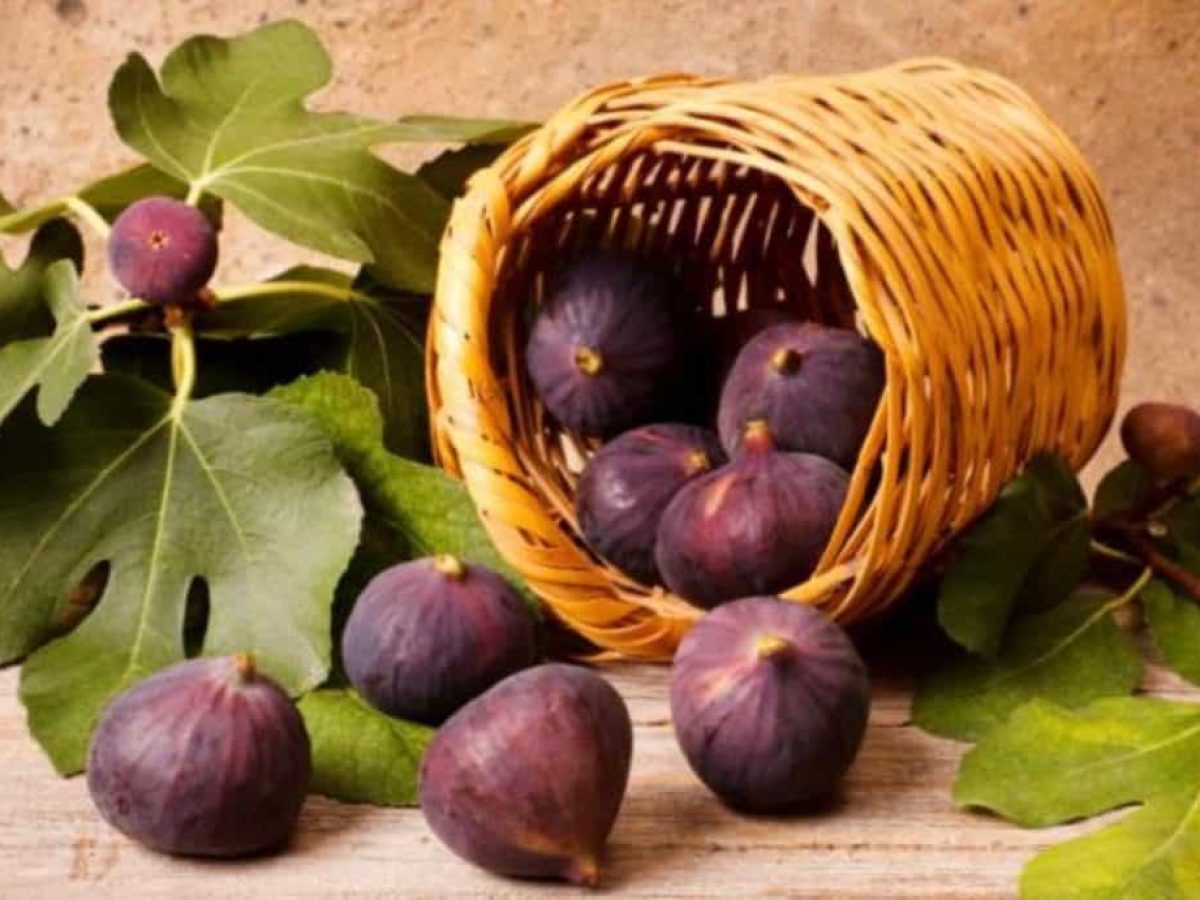 Τα φρούτα των αρχαίων Ελλήνων