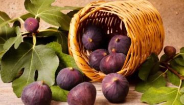 Τα φρούτα των αρχαίων Ελλήνων