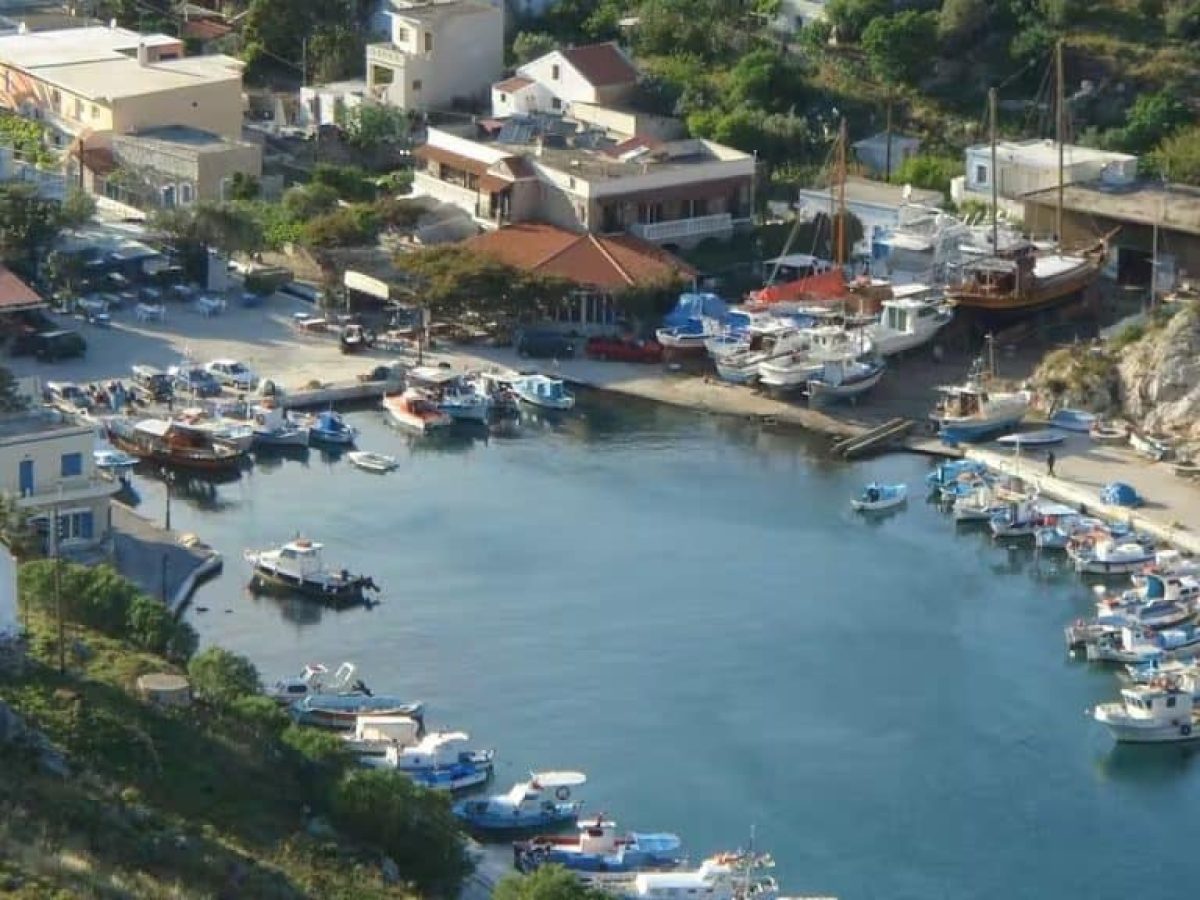 &Alpha;&delta;&epsilon;&lambda;&alpha;ΐ&delta;&alpha;: &Omicron;&mu;&omicron;&gamma;&epsilon;&nu;&epsilon;ί&sigmaf; &sigma;&tau;&eta;&rho;ί&zeta;&omicron;&upsilon;&nu; &tau;&eta;&nu; &Kappa;ά&lambda;&upsilon;&mu;&nu;&omicron; &kappa;&alpha;&iota; &tau;&omicron; &nu;&omicron;&sigma;&omicron;&kappa;&omicron;&mu;&epsilon;ί&omicron; &tau;&eta;&sigmaf;