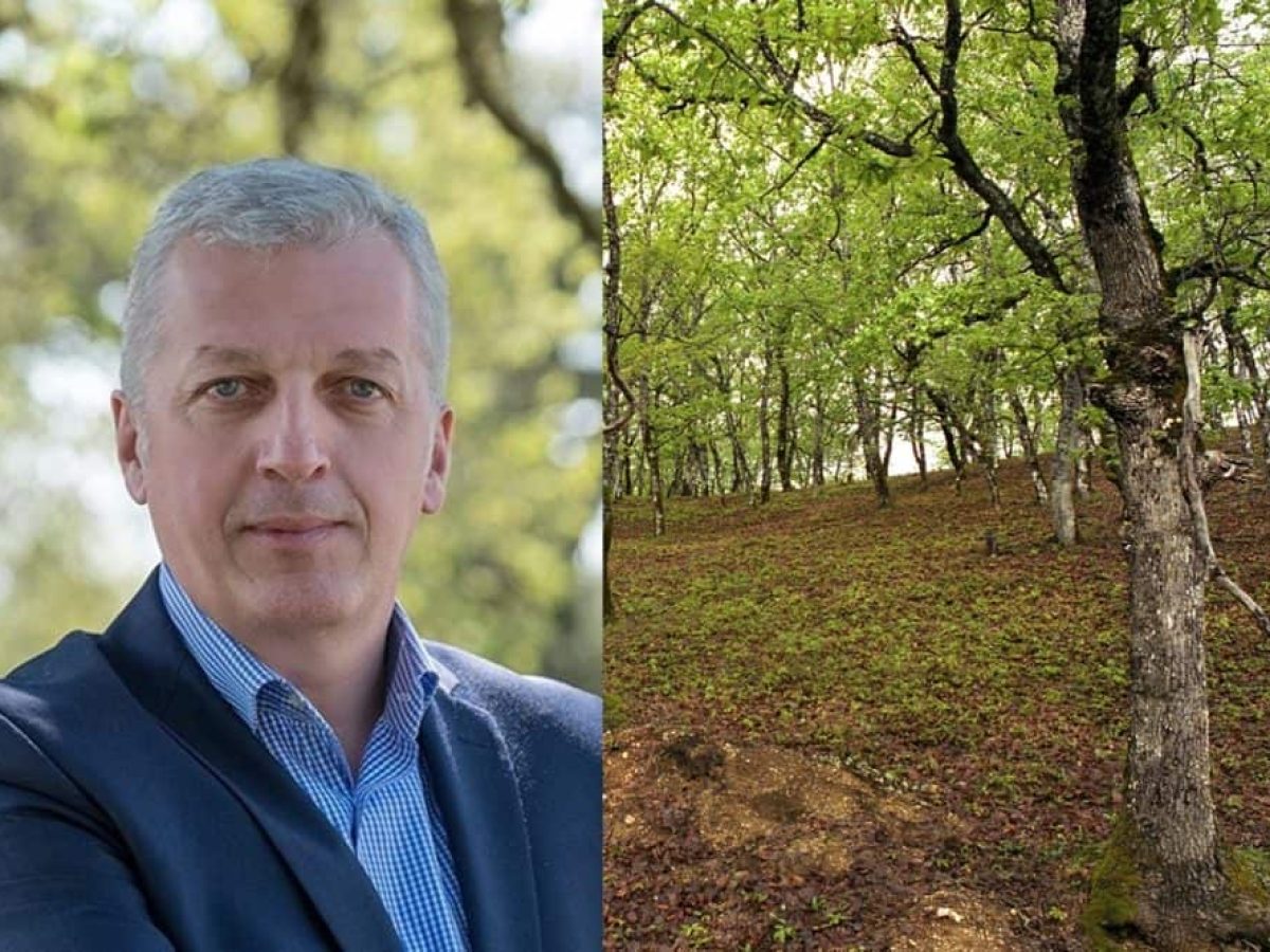 Μιχάλης Πλιάκος: Στρατηγική βιώσιμης τουριστικής ανάπτυξης για τον Δήμο Ζίτσας