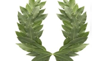&Tau;&omicron; &sigma;&tau;&epsilon;&phi;ά&nu;&iota; &ndash; &Eta; &alpha;&gamma;ά&pi;&eta; &tau;&omega;&nu; &Epsilon;&lambda;&lambda;ή&nu;&omega;&nu; &gamma;&iota;&alpha; &tau;&omicron; &pi;&epsilon;&rho;&iota;&tau;&tau;ό