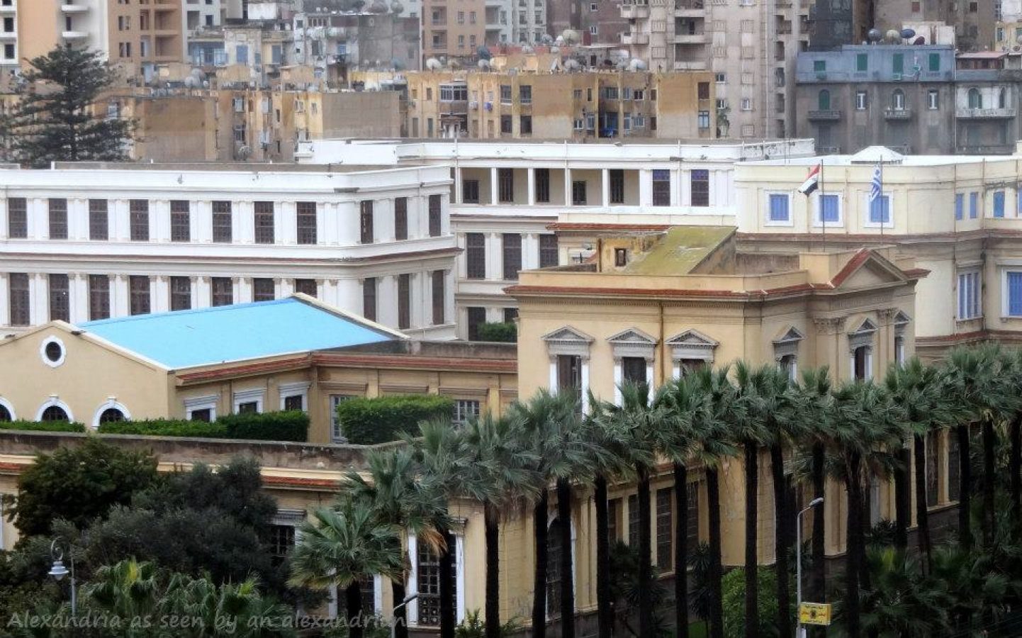 &Sigma;ύ&nu;&delta;&epsilon;&sigma;&mu;&omicron;&sigmaf; &Alpha;&pi;&omicron;&phi;&omicron;ί&tau;&omega;&nu; &Alpha;&beta;&epsilon;&rho;&omega;&phi;&epsilon;ί&omicron;&upsilon; &Sigma;&chi;&omicron;&lambda;ή&sigmaf; &Alpha;&lambda;&epsilon;&xi;&alpha;&nu;&delta;&rho;&epsilon;ί&alpha;&sigmaf; &Alpha;&nu;&alpha;&kappa;&omicron;ί&nu;&omega;&sigma;&eta;