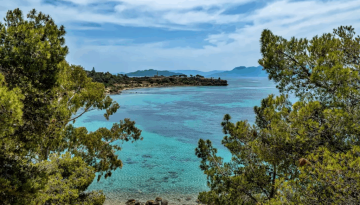 Τι να κάνω στην Αίγινα: Ο απόλυτος ταξιδιωτικός οδηγός για μια αξέχαστη εκδρομή