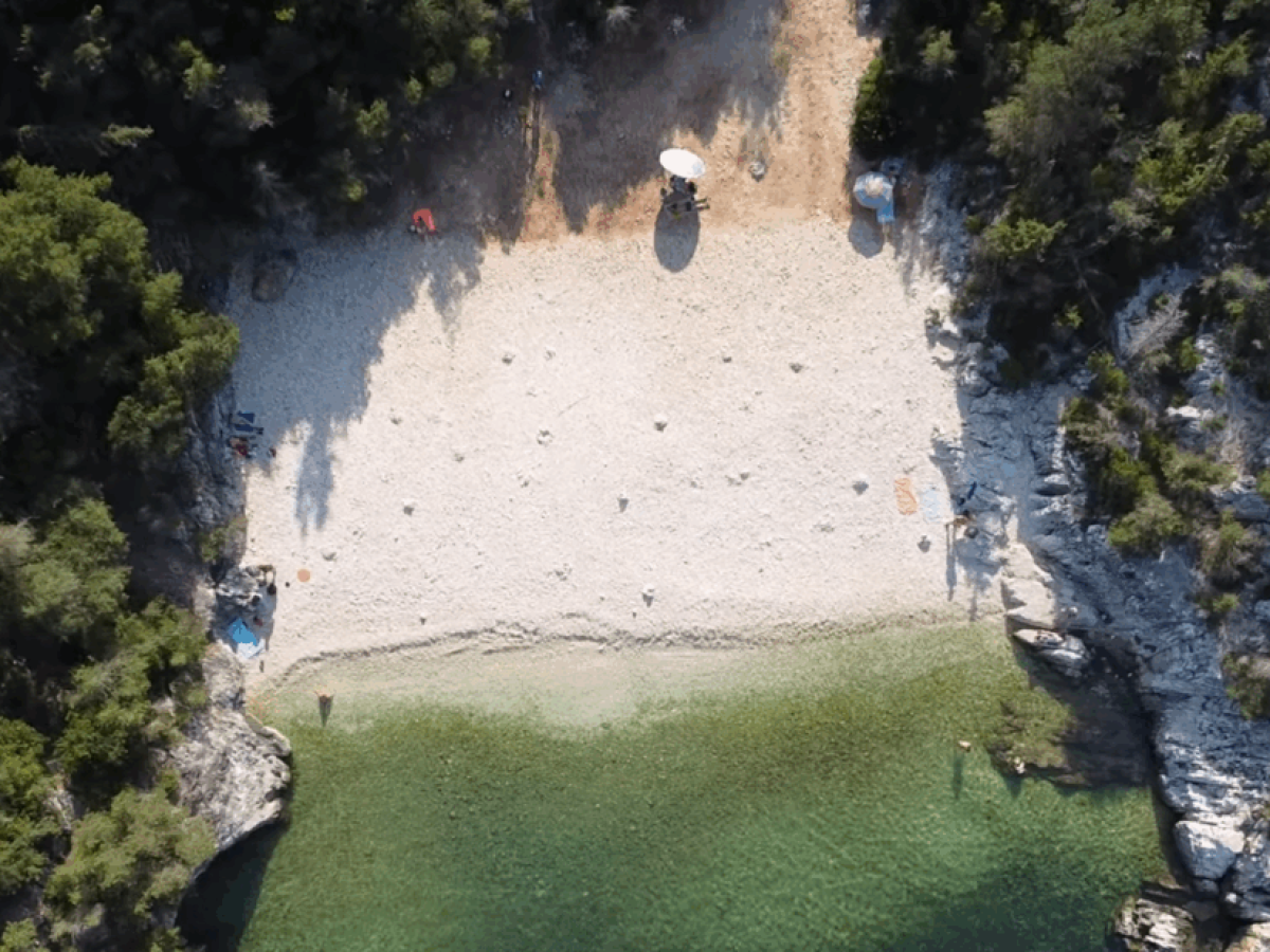 &Delta;&alpha;&phi;&nu;&omicron;ύ&delta;&iota;: &Eta; &kappa;&rho;&upsilon;&phi;ή &pi;&alpha;&rho;&alpha;&lambda;ί&alpha; &tau;&eta;&sigmaf; &Kappa;&epsilon;&phi;&alpha;&lambda;&omicron;&nu;&iota;ά&sigmaf; &mu;&epsilon; &tau;&eta;&nu; &mu;&epsilon;&gamma;ά&lambda;&eta; έ&kappa;&pi;&lambda;&eta;&xi;&eta;!