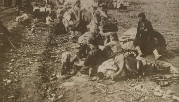&Pi;&alpha;&mu;&pi;&omicron;&nu;&tau;&iota;&alpha;&kappa;ή &Omicron;&mu;&omicron;&sigma;&pi;&omicron;&nu;&delta;ί&alpha; &Epsilon;&lambda;&lambda;ά&delta;&omicron;&sigmaf;: &Zeta;&eta;&tau;ά&mu;&epsilon; &epsilon;&kappa; &nu;έ&omicron;&upsilon; &tau;&eta;&nu; &alpha;&nu;&alpha;&gamma;&nu;ώ&rho;&iota;&sigma;&eta; &tau;&eta;&sigmaf; &Gamma;&epsilon;&nu;&omicron;&kappa;&tau;&omicron;&nu;ί&alpha;&sigmaf; &tau;&omega;&nu; &Alpha;&sigma;&sigma;&upsilon;&rho;ί&omega;&nu; &alpha;&pi;ό &tau;&eta;&nu; &Epsilon;&lambda;&lambda;ά&delta;&alpha;